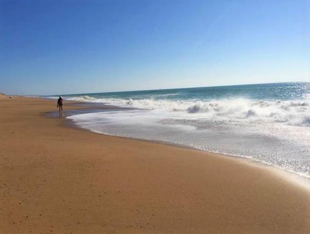 Appart Breti Plage 2 - Duplex Brétignolles-sur-Mer Exteriör bild